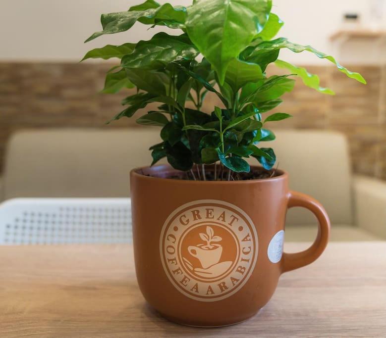 Il Tempo Di Un Caffe Leilighet Napoli Eksteriør bilde